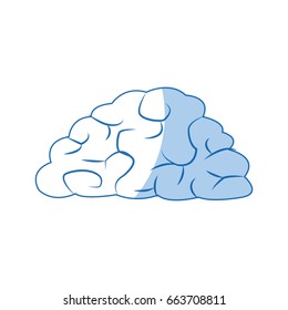 human brain organ health memory anatomy