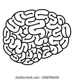 human brain organ icon