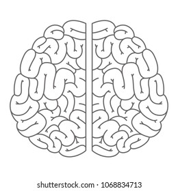 human brain organ icon