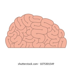 human brain organ icon