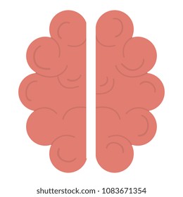 human brain organ icon