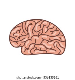 human brain organ icon over white background. colorful design. side view. vector illustration