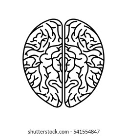 human brain organ icon over white background. vector illustration