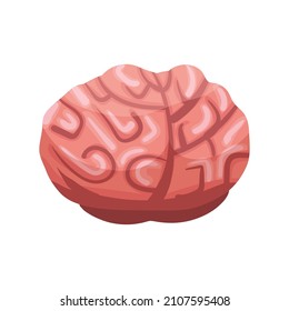 Human brain, organ. Vector illustration cartoon style
