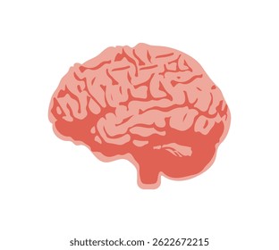 Human Brain Organ Vector Illustration Isolated