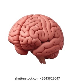 Human Brain Origin: Scientific Perspective Evolutionary Anatomy