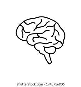 human brain outline icon. Thinking concept, brain flat symbol isolated on white background.