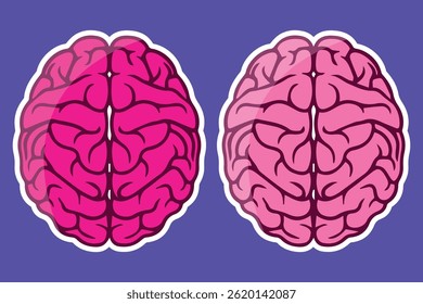 Human brain pair vector illustration icon