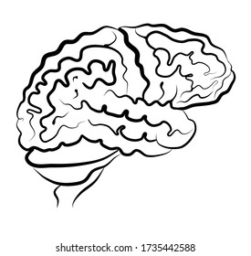 Human brain picture side view caricature style  outline