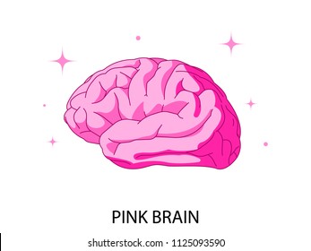 Human brain. The pink brain on white background, side projection. Sparkles. The sparkles behind. Modern vector illustration. 