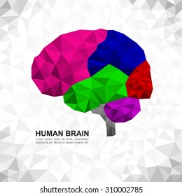 Human brain polygonal mosaic style. Colorful abstract geometric brain with triangular polygons - low poly.
