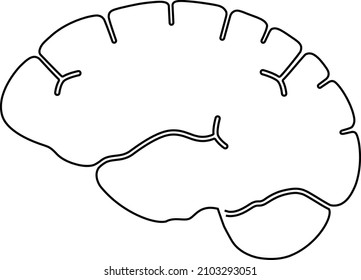Human brain in profile view left. Continuous line drawing. Vector illustration