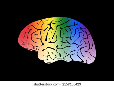 El cerebro humano con colores arcoiris sobre fondo negro. Símbolo de lesbiana, gay, transgénero, bisexual y de paz.