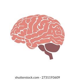 O cérebro humano. Em tons de vermelho e rosa. Ilustração plana em um fundo branco
