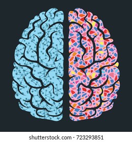 The human brain, the right and left hemispheres