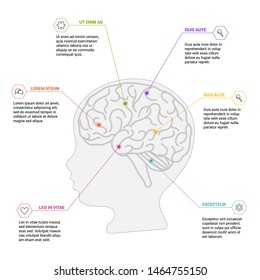 Human brain scheme on white background