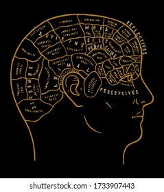 Human brain scheme vintage vector illustration. Incredibly detailed mind map typography illustration with human head divided in sectors.