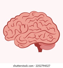 Human Brain scientific vector illustration vector