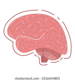 human brain seen from the side in pink with fold lines and lobes of the cerebral cortex. relevant to education, medical presentations, psychology, neurology, intelligence and mental health.