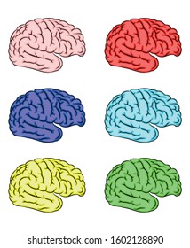 human brain set different colours