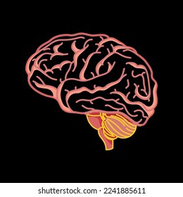 Human brain side view icon. internal organs symbol. Vector illustration in cartoon style isolated on white background