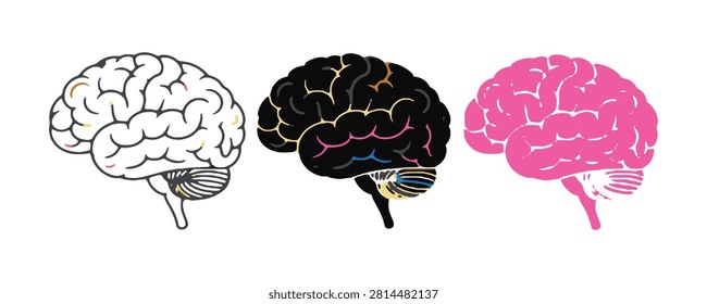 Human brain side view illustrations featuring three different artistic styles for medical or scientific projects.