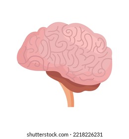 Human Brain, Side View, Vector