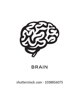 Human brain silhouette design vector illustration. Think idea concept. Brainstorm