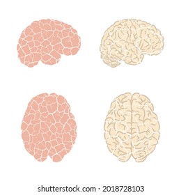 Human brain silhouettes with cracks isolated on white background
