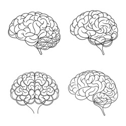 Human Brain Single Line Art Design Vector Illustration - Minimalist and Modern Brain Art Vector