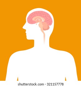 human brain structure, image illustration