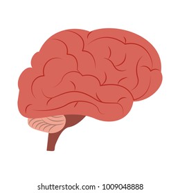 Human brain symbol