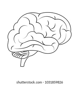 Human brain symbol