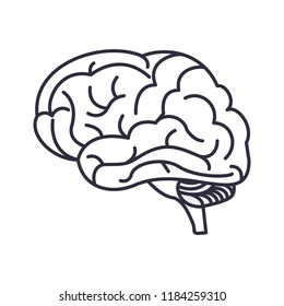 Human brain symbol
