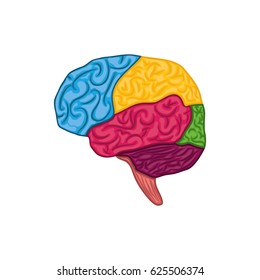 Human brain symbol