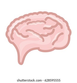 Human brain symbol