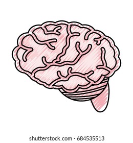 Human brain symbol