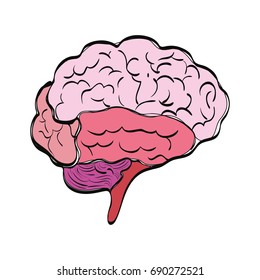 Human brain symbol