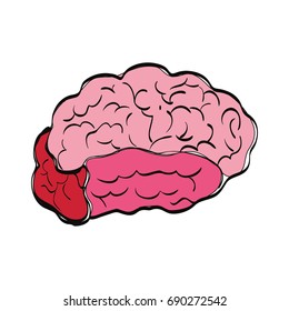 Cartoon Design Human Brain Stock Vector (Royalty Free) 1019648011 ...