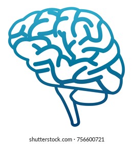 Human brain symbol
