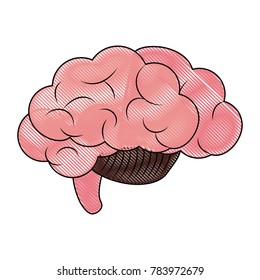 Human brain symbol