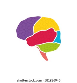 Human brain symbol icon vector illustration graphic design