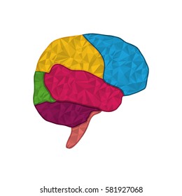 Human brain symbol icon vector illustration graphic design