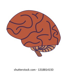 human brain symbol isolated