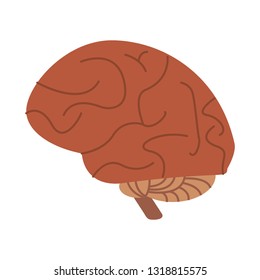 human brain symbol isolated
