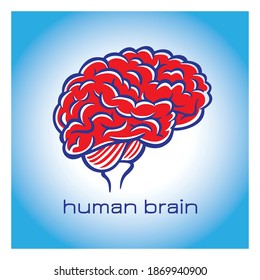 Human brain symbol. Vector illustration.