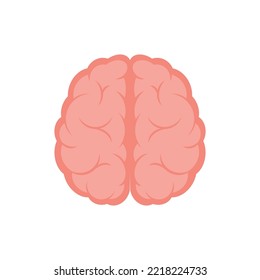 Human brain, top view, illustration, vector