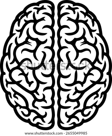 Human brain top view line icon. An anatomical symbol of neurology, the mind, and the central nervous system. Medical illustration