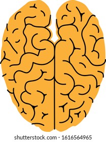 Human brain top view. Vector illustration. Flat design. Memphis Style