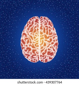 Human brain. Top view - vector stippled illustration